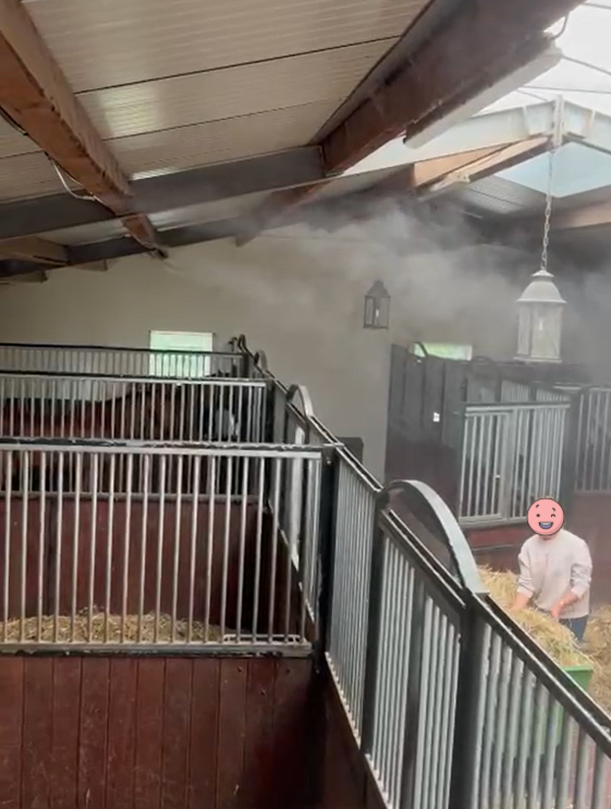 Eine moderne saubere Stallgasse in einem Pferdestall. Boxen und Gasse werden vom hauchfeinen Wassernebel der Bejola-Sprühnebel-Anlage besprüht. Eine Mitarbeiterin streut die Boxen ein und genießt die staubfreie Luft dank Bejola