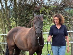 Frau Dr. Petra Hubrich führ ein braunes Islandpferd am Führstrück.